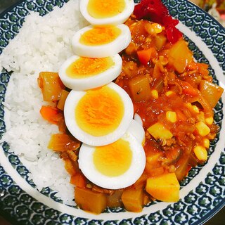 新しい！！こんにゃくカレー